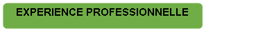 Rectangle à coins arrondis: EXPERIENCE PROFESSIONNELLE